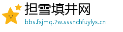 担雪填井网